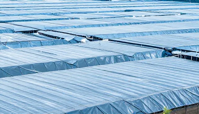 服务器选择依据：性能与适用条件的综合考量
